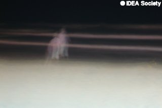 http://www.idea-society.org/img/Photo_Feldschuh/t3.jpg